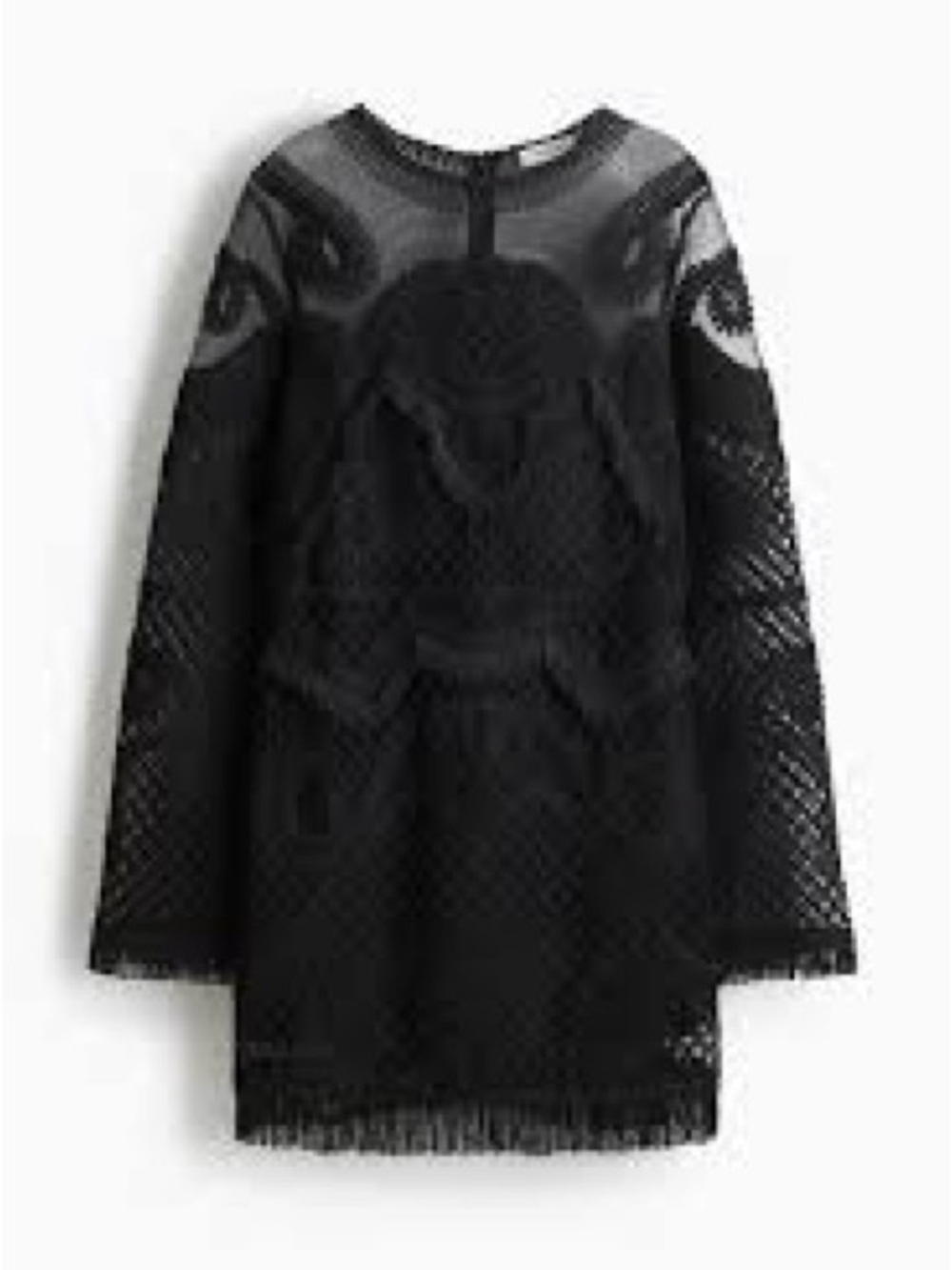 H&M - Edition Black Embroidered Mesh Fringe Long Sleeve Mini Dress Size Medium